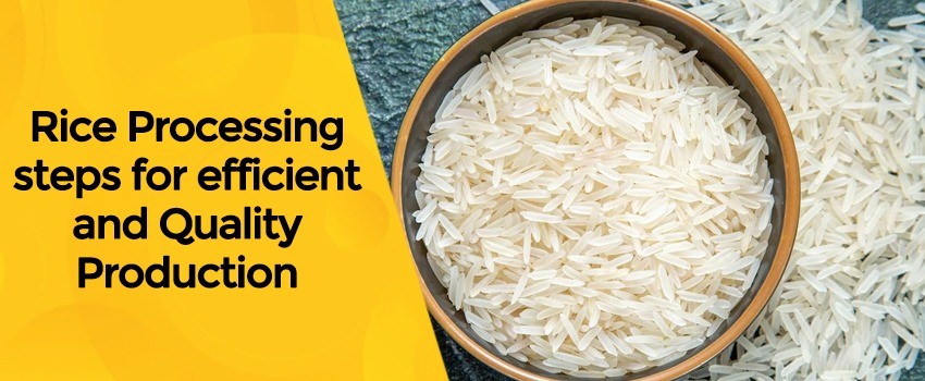 rice processing steps