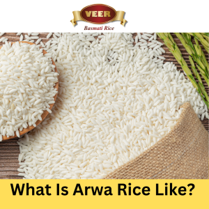 Arwa Rice